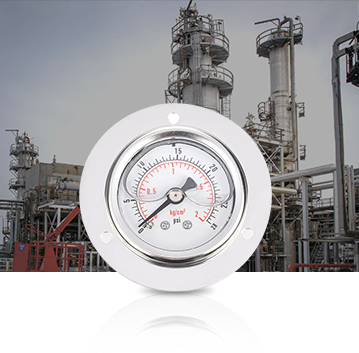 Indústria petroquímica Pressure Gauges